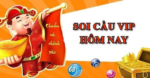 soi-cau-1 Sử dụng kết quả phân tích hệ thống